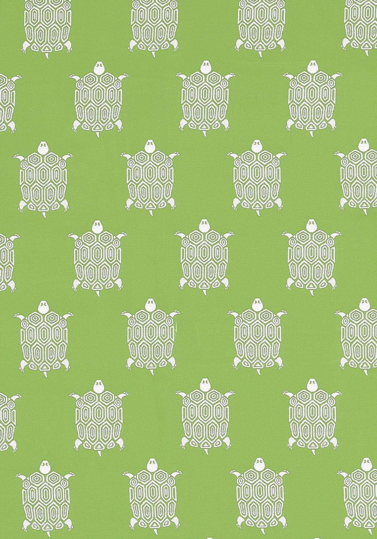 Thibaut W81624 TURTLE BAY Kiwi Fabric