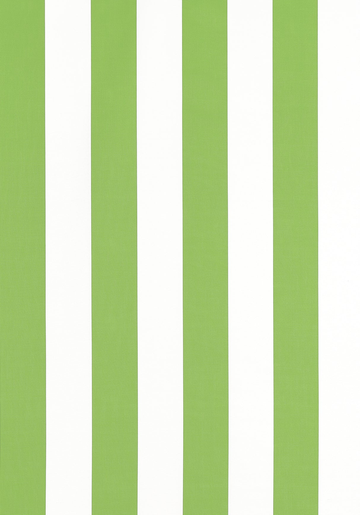 Thibaut W81633 CABANA STRIPE Kiwi Fabric
