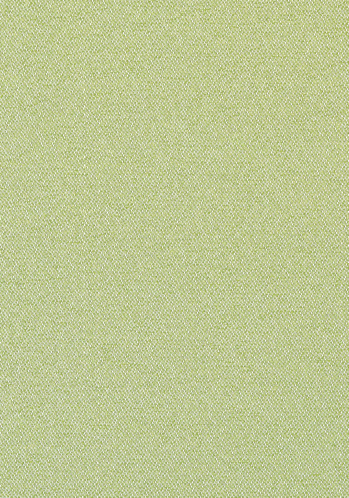 Thibaut W81712 CASTAWAY Kiwi Fabric
