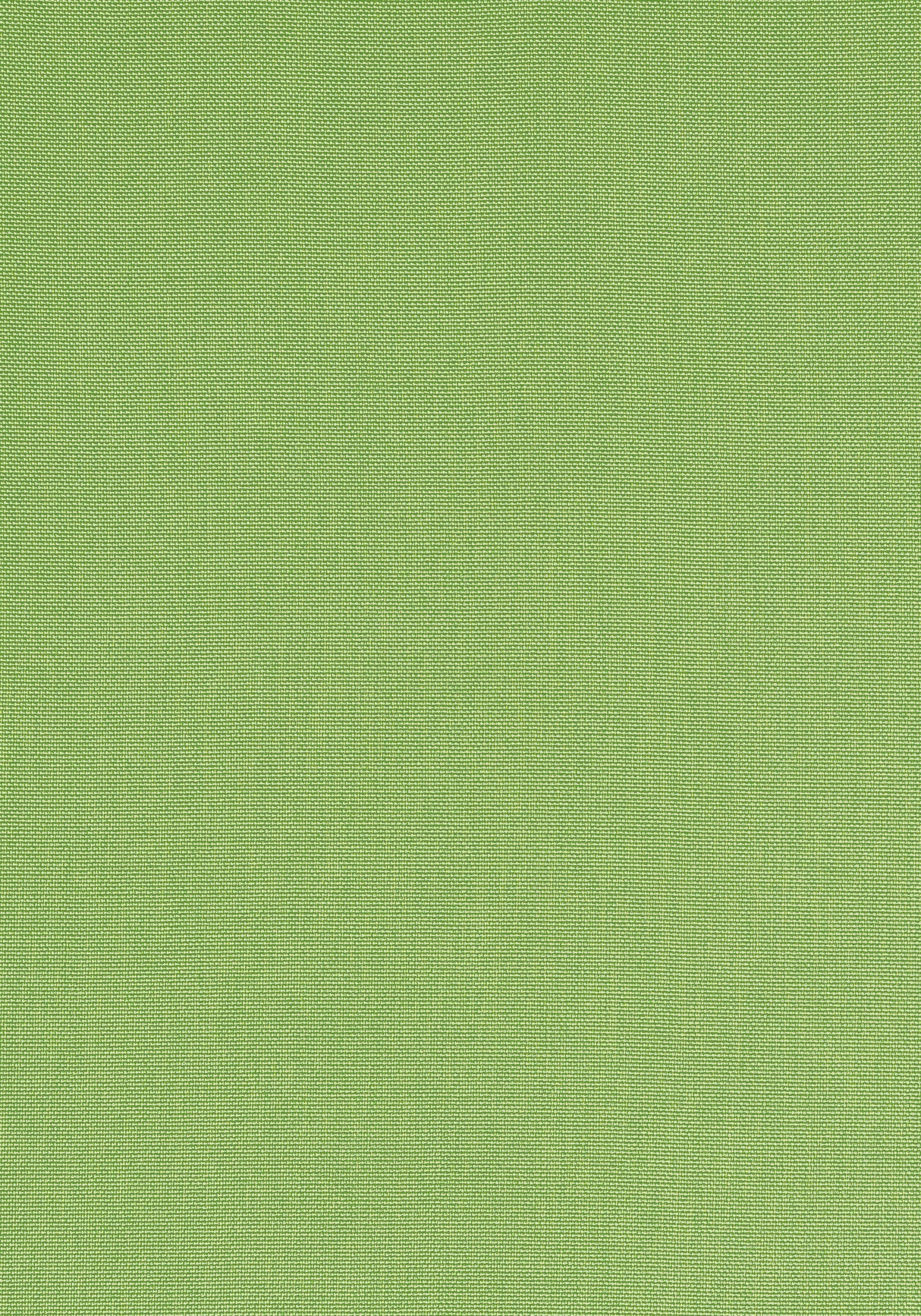 Thibaut W81752 PALMER Kiwi Fabric