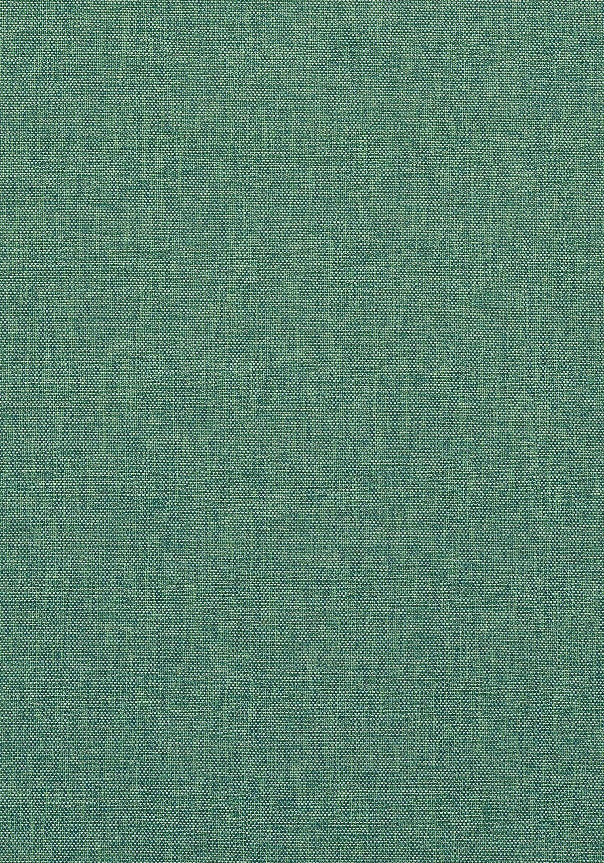 Thibaut W81754 PALMER Pine Fabric