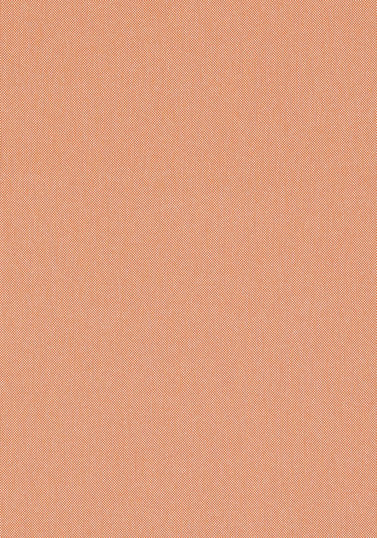 Thibaut W81758 FINN Mandarin Fabric