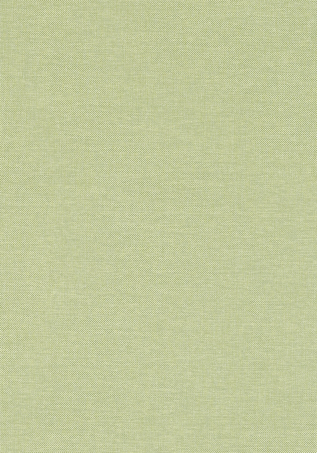 Thibaut W81759 FINN Kiwi Fabric