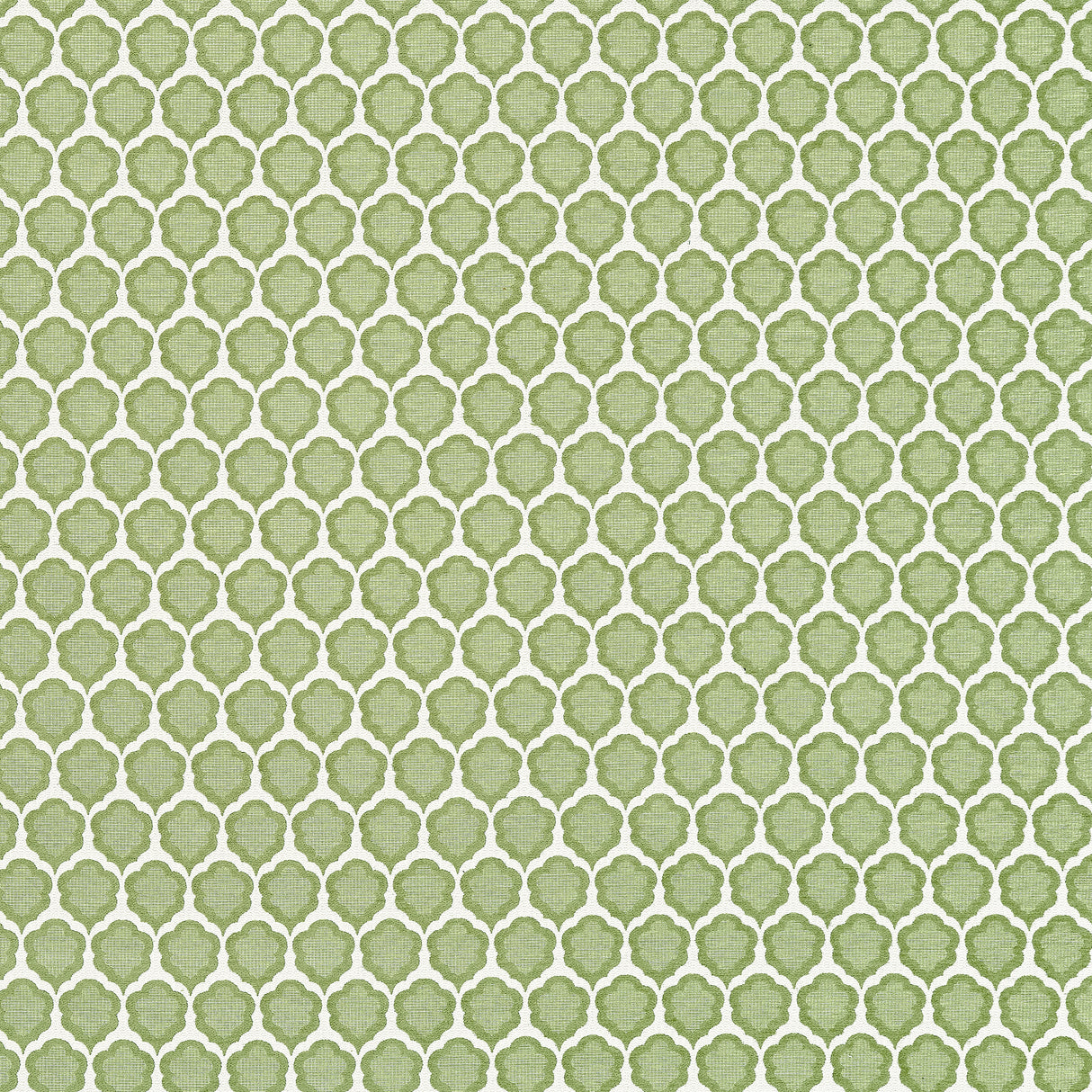 Thibaut W81930 GENIE Leaf Fabric