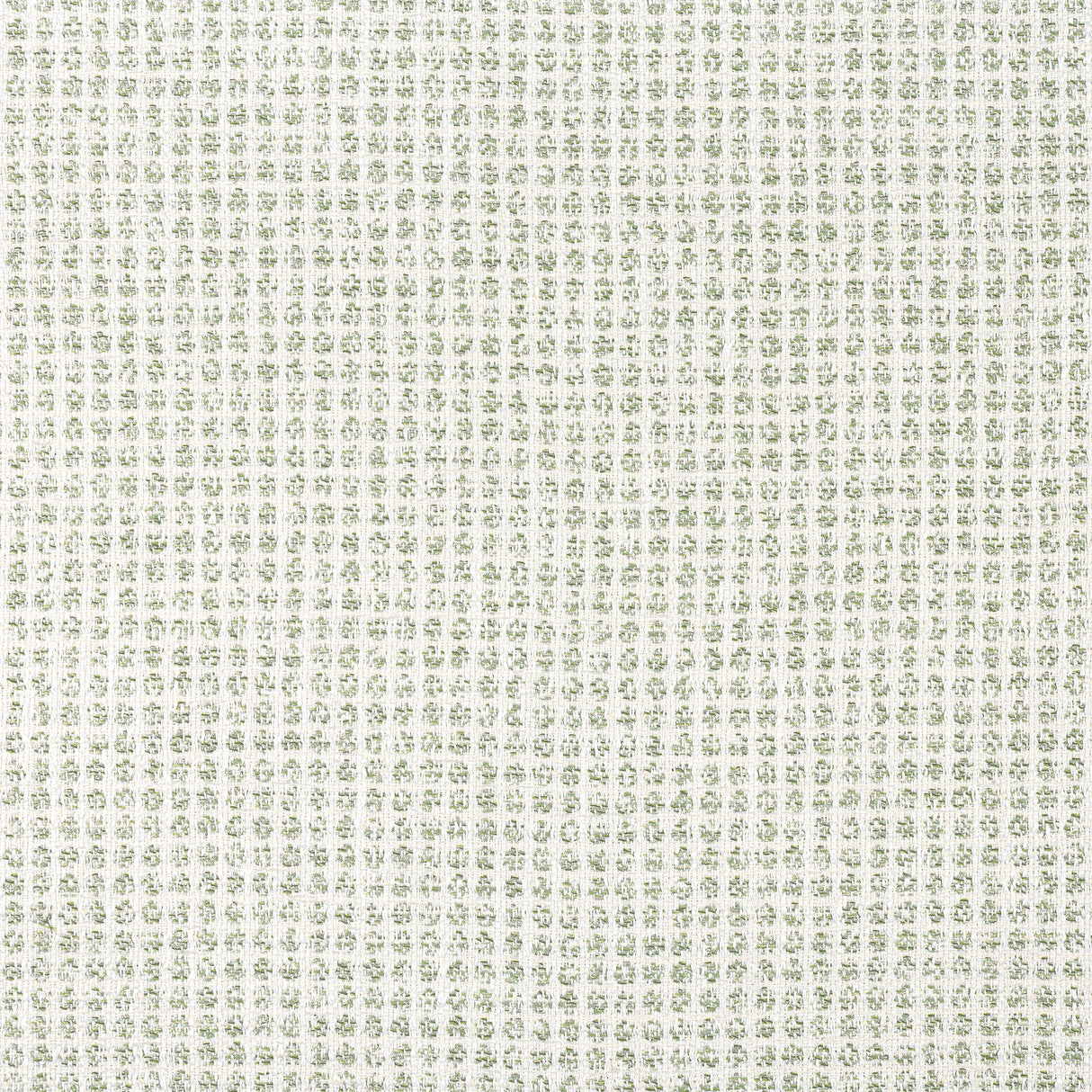Thibaut W8703 REMY DOT Aloe Fabric