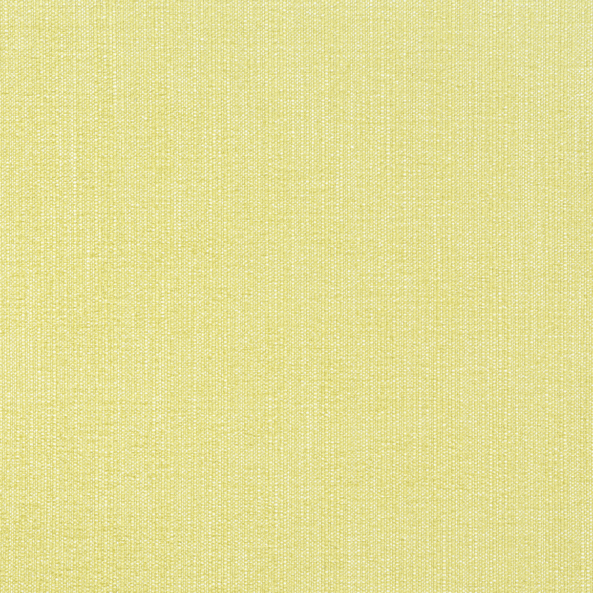 Thibaut W8716 VEDA Lemongrass Fabric