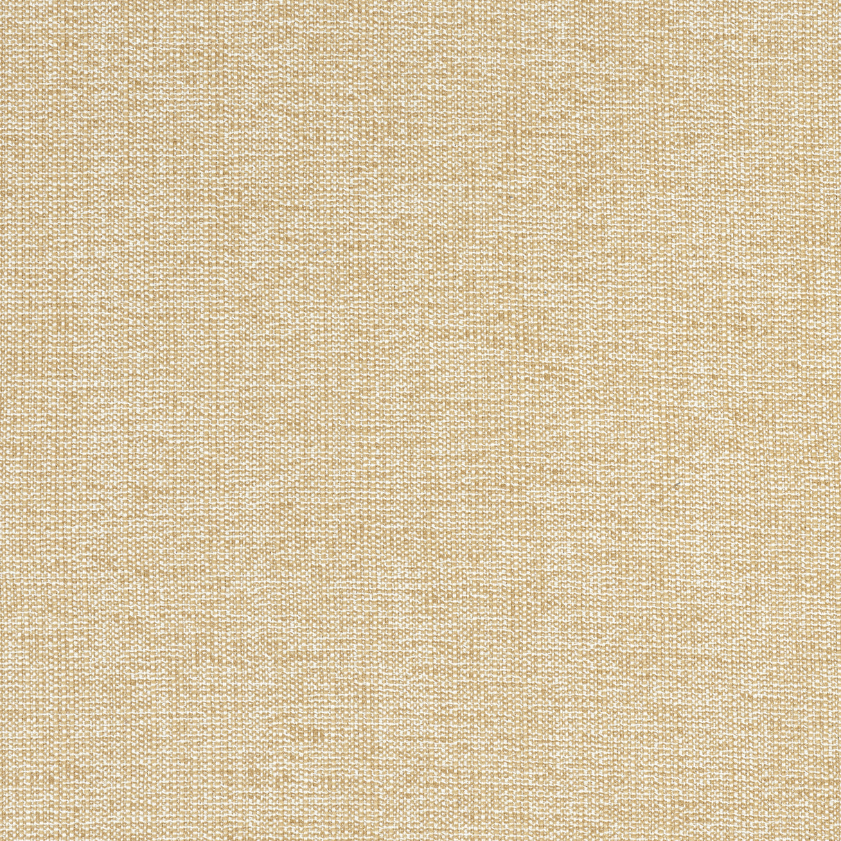 Thibaut W8756 SACCHI Caramel Fabric