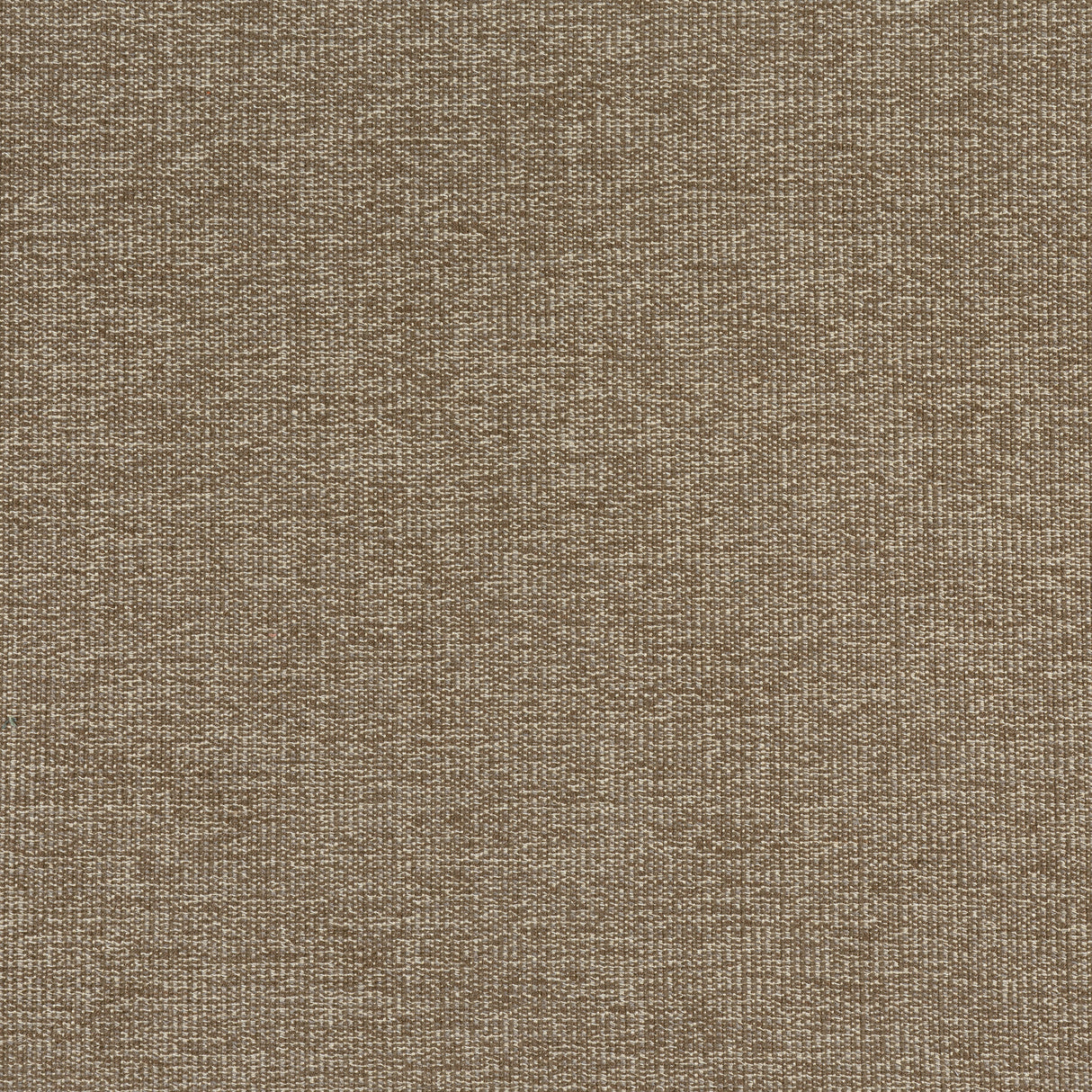Thibaut W8757 SACCHI Mocha Fabric