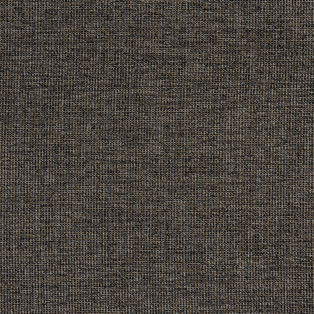 Thibaut W8758 SACCHI Ebony Fabric