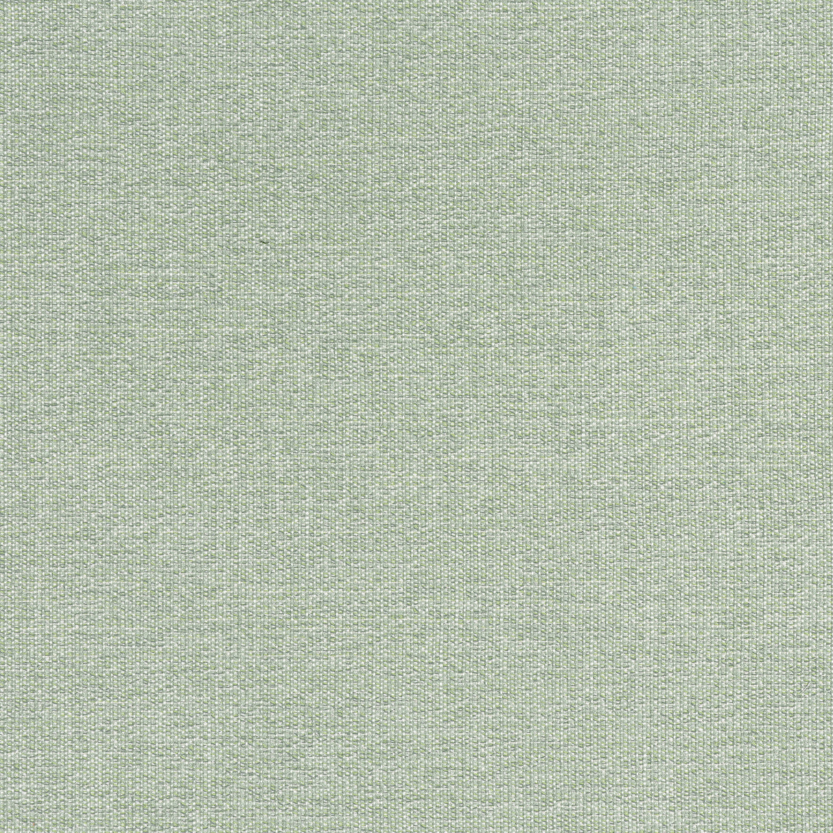 Thibaut W8759 SACCHI Aloe Fabric
