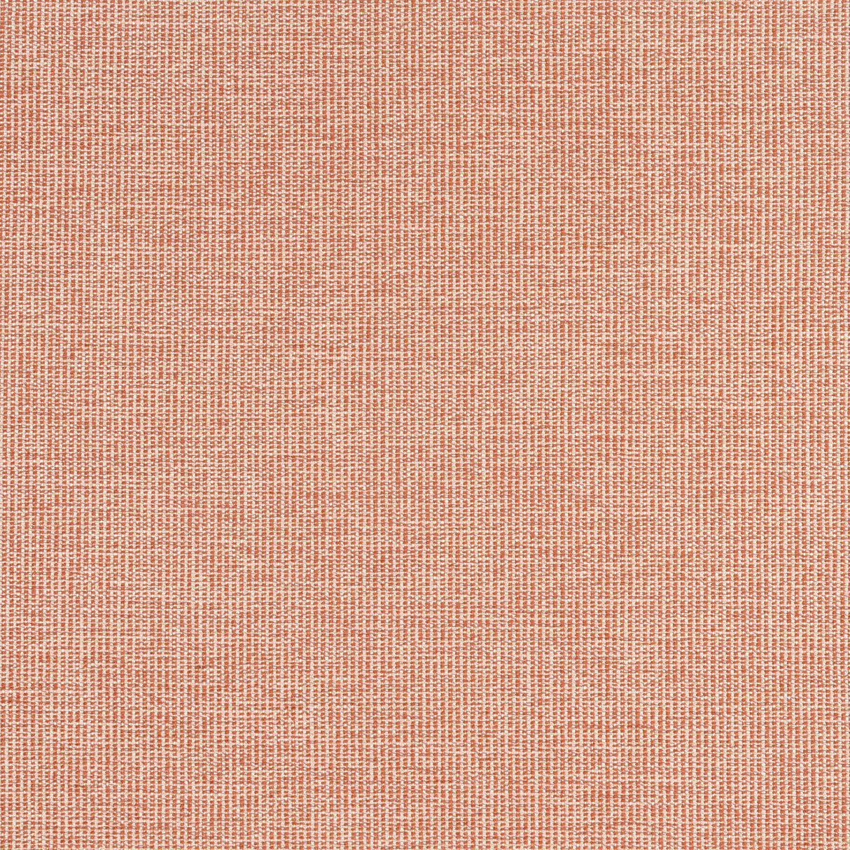 Thibaut W8761 SACCHI Terracotta Fabric