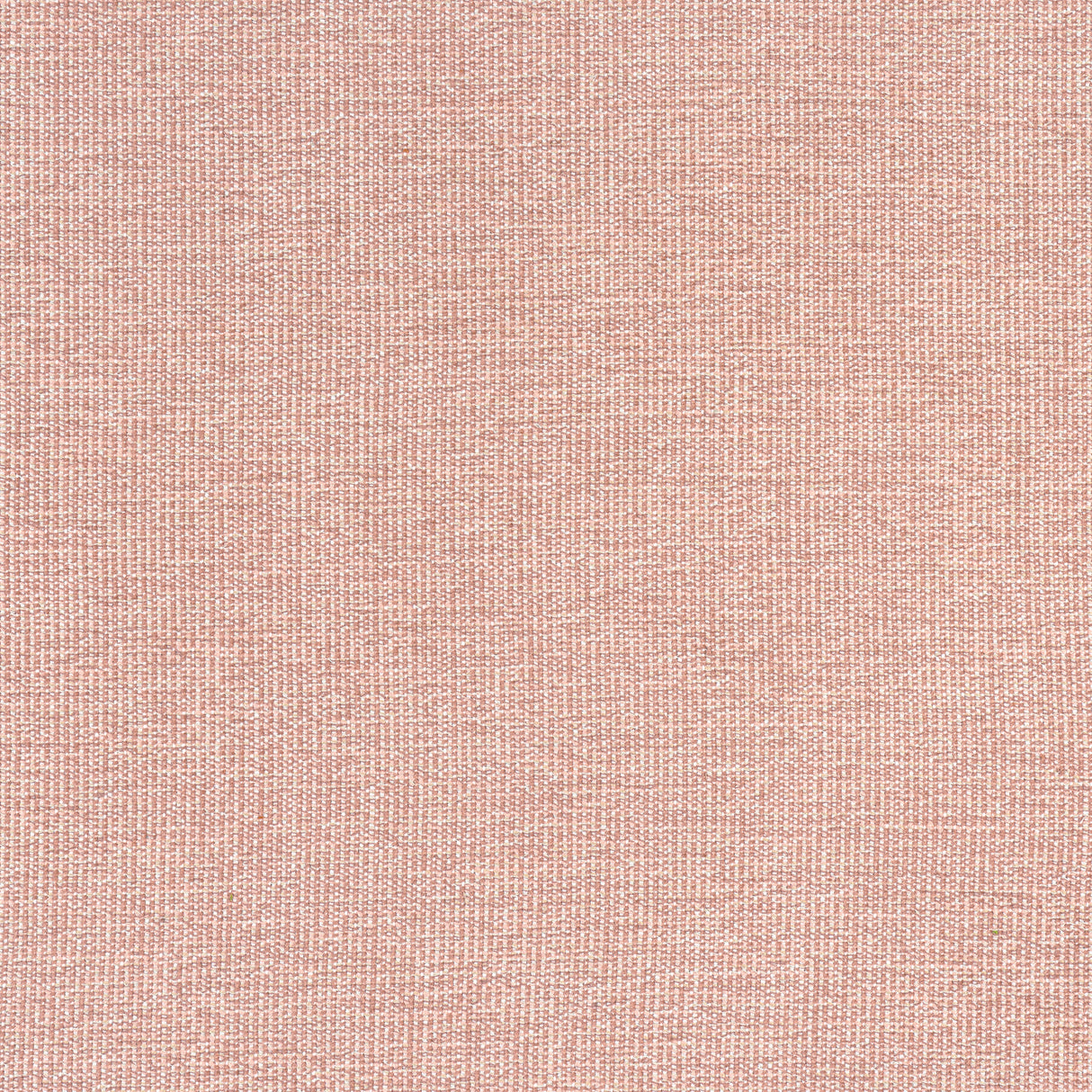 Thibaut W8762 SACCHI Clay Fabric