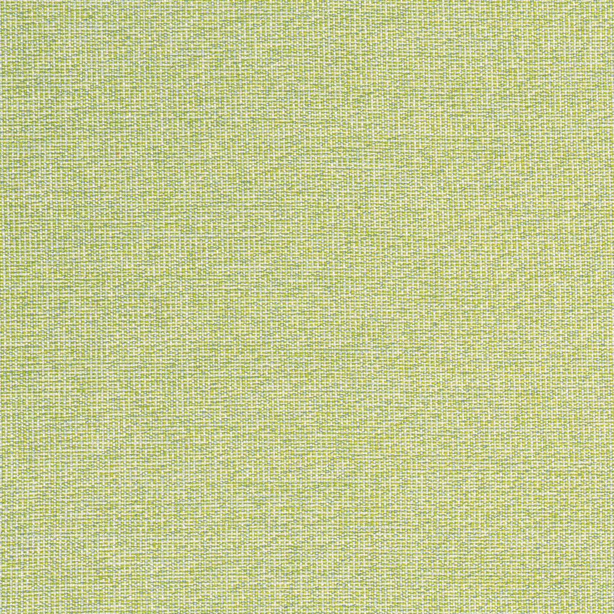 Thibaut W8763 SACCHI Leaf Fabric