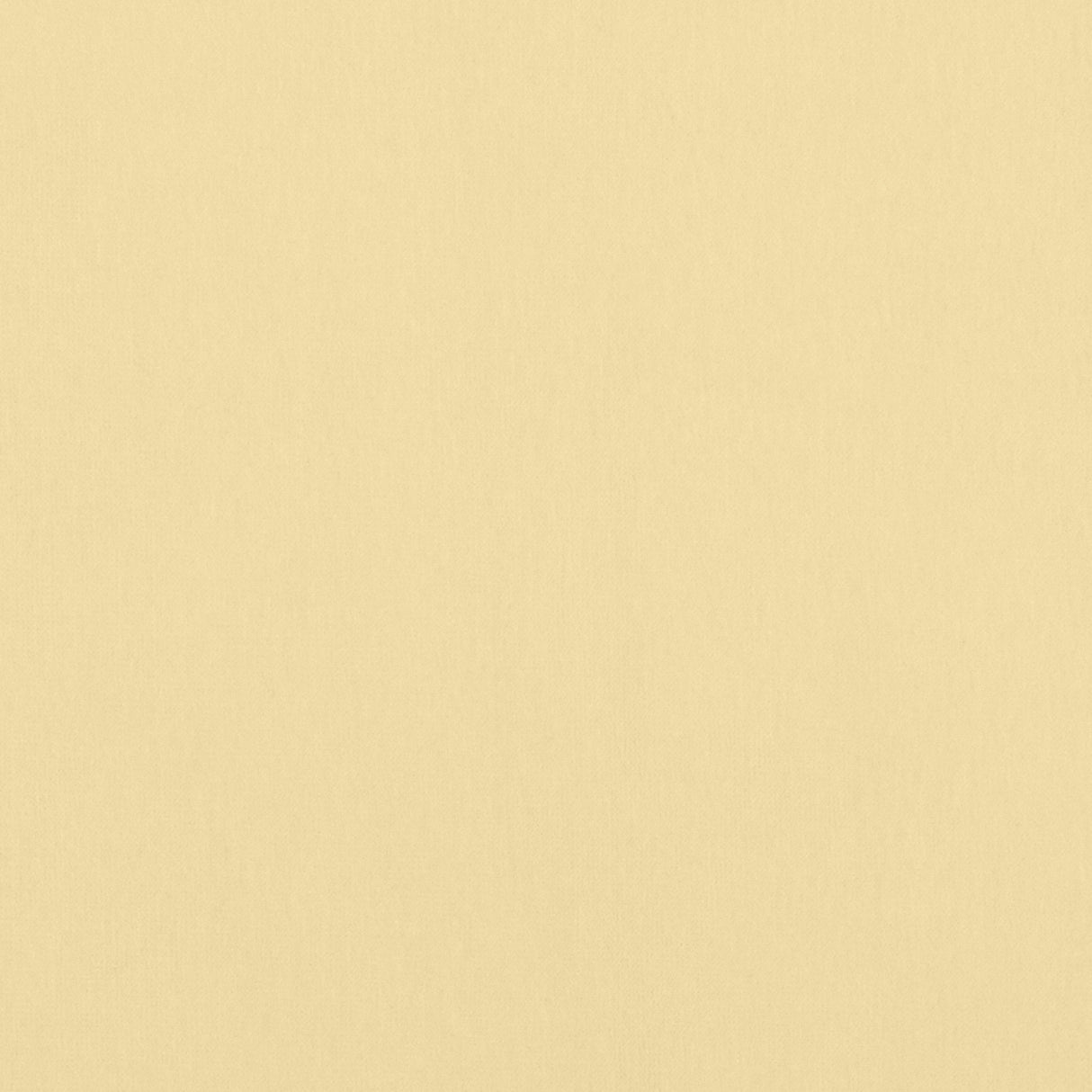 Thibaut W8936 ALTO VELVET Straw Fabric