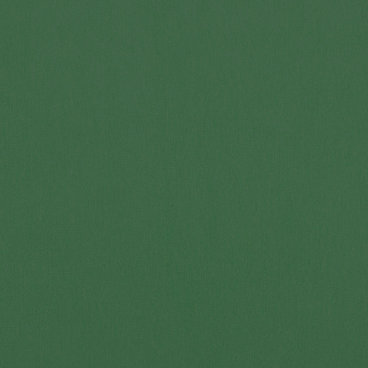 Thibaut W8949 ALTO VELVET Holly Fabric