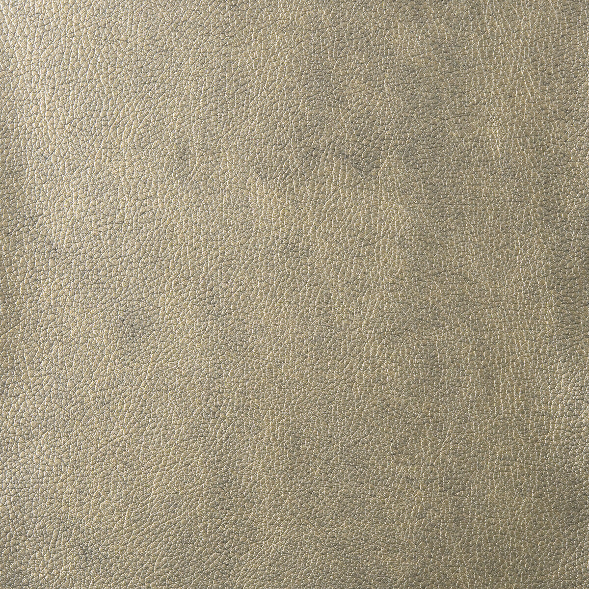 KRAVET DESIGN WEYFORD.4.0 KRAVET DESIGN WEYFORD-4 Fabric - Eade's Wallpaper