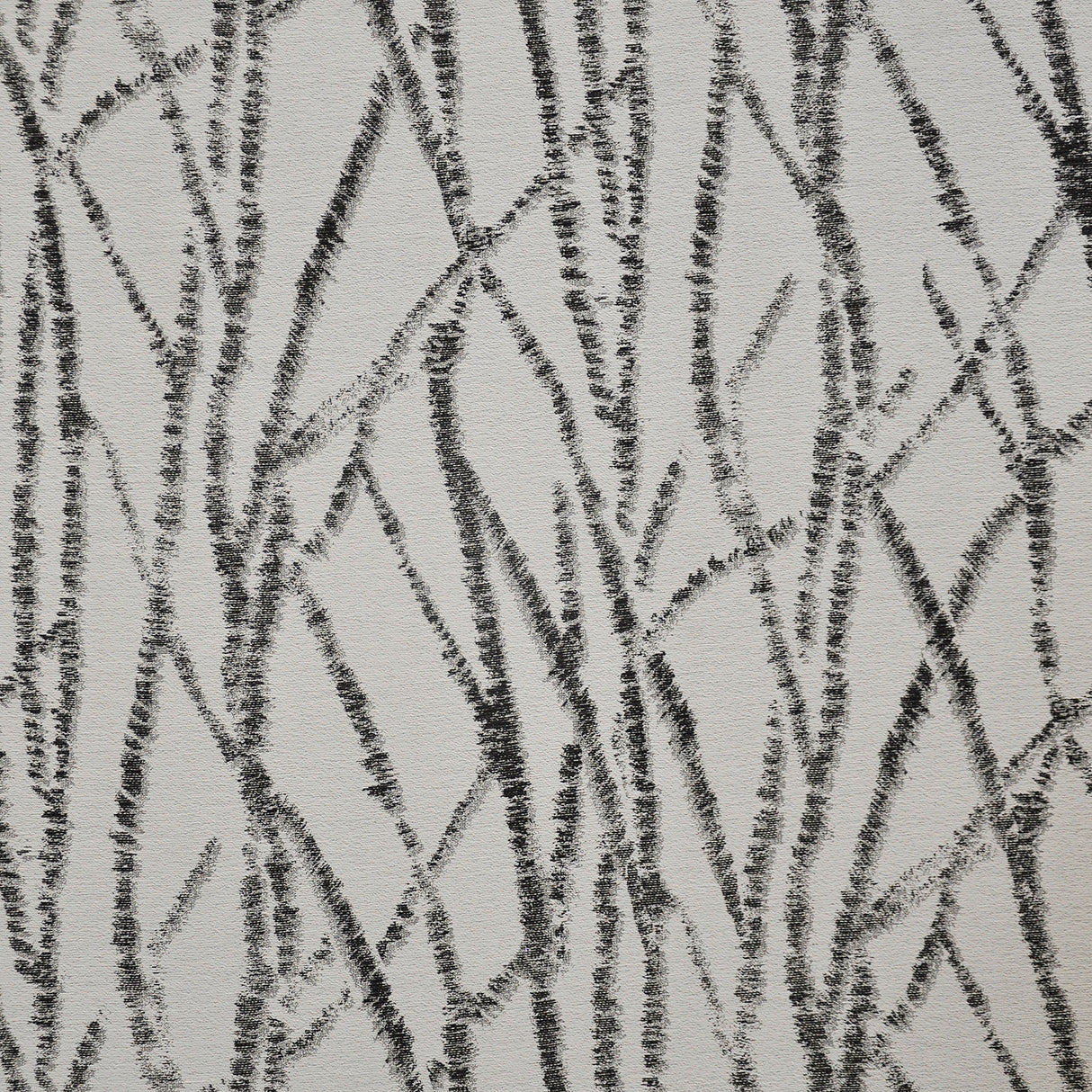 Eade’s # 608 AFRICAN GREY