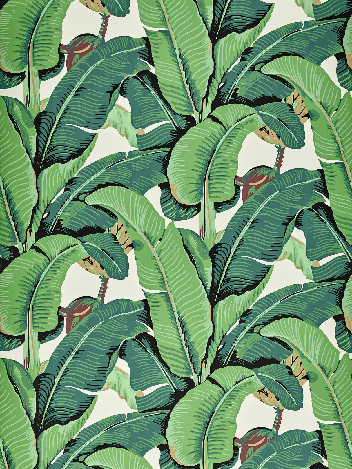 Scalamandre WHN000144000 GREEN HINSON PALM - WIDE WIDTH WALLPAPER - Eade's Wallpaper