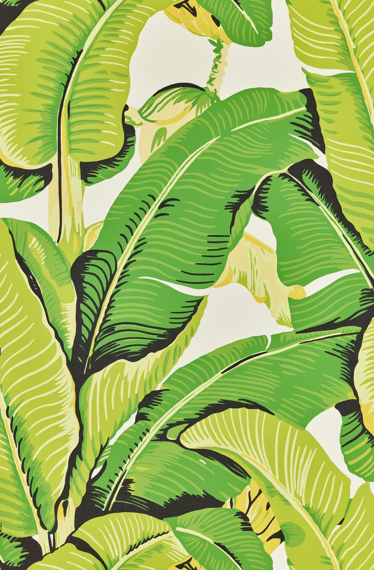 Scalamandre WHN000144000M MOJITO HINSON PALM WALLPAPER - Eade's Wallpaper