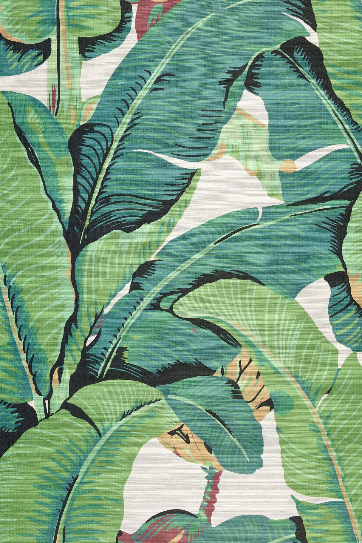 Scalamandre WHN000144001M SILVER GRAY HINSON PALM - GRASSCLOTH WALLPAPER - Eade's Wallpaper