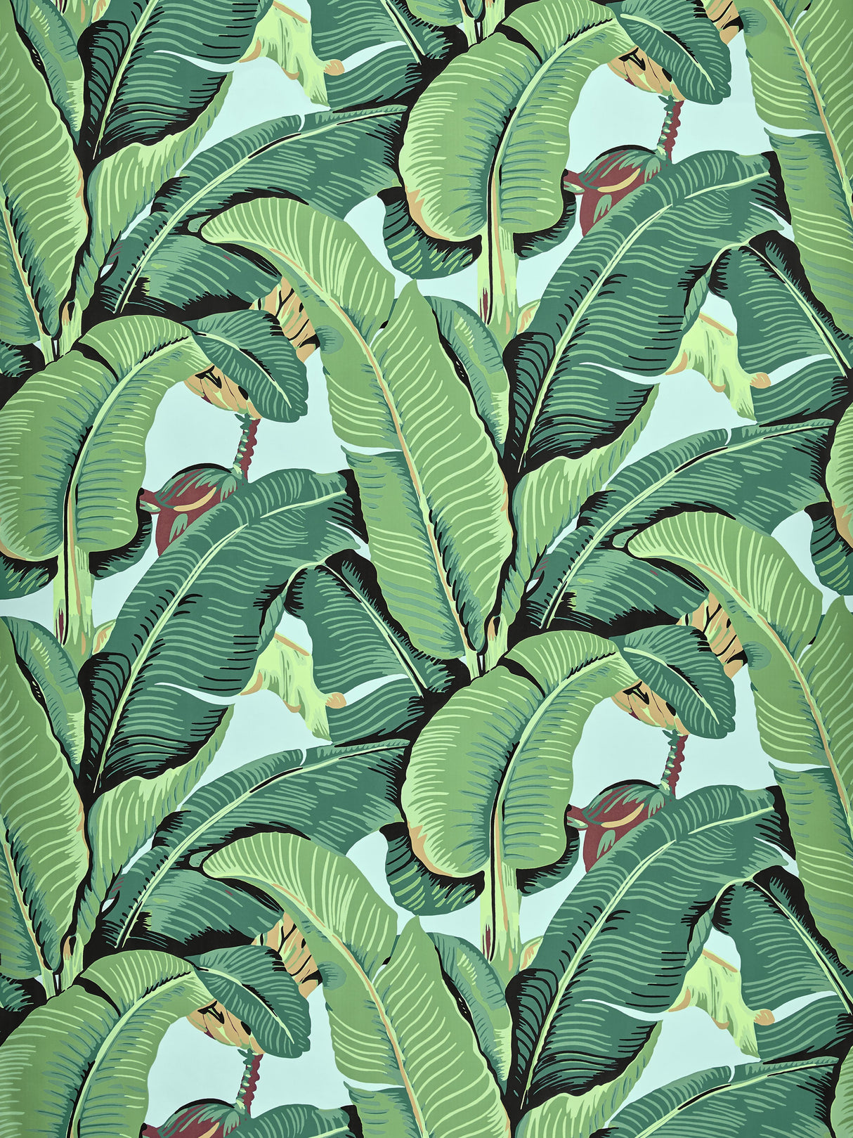 Scalamandre WHN000244000 SKY HINSON PALM - WIDE WIDTH WALLPAPER - Eade's Wallpaper