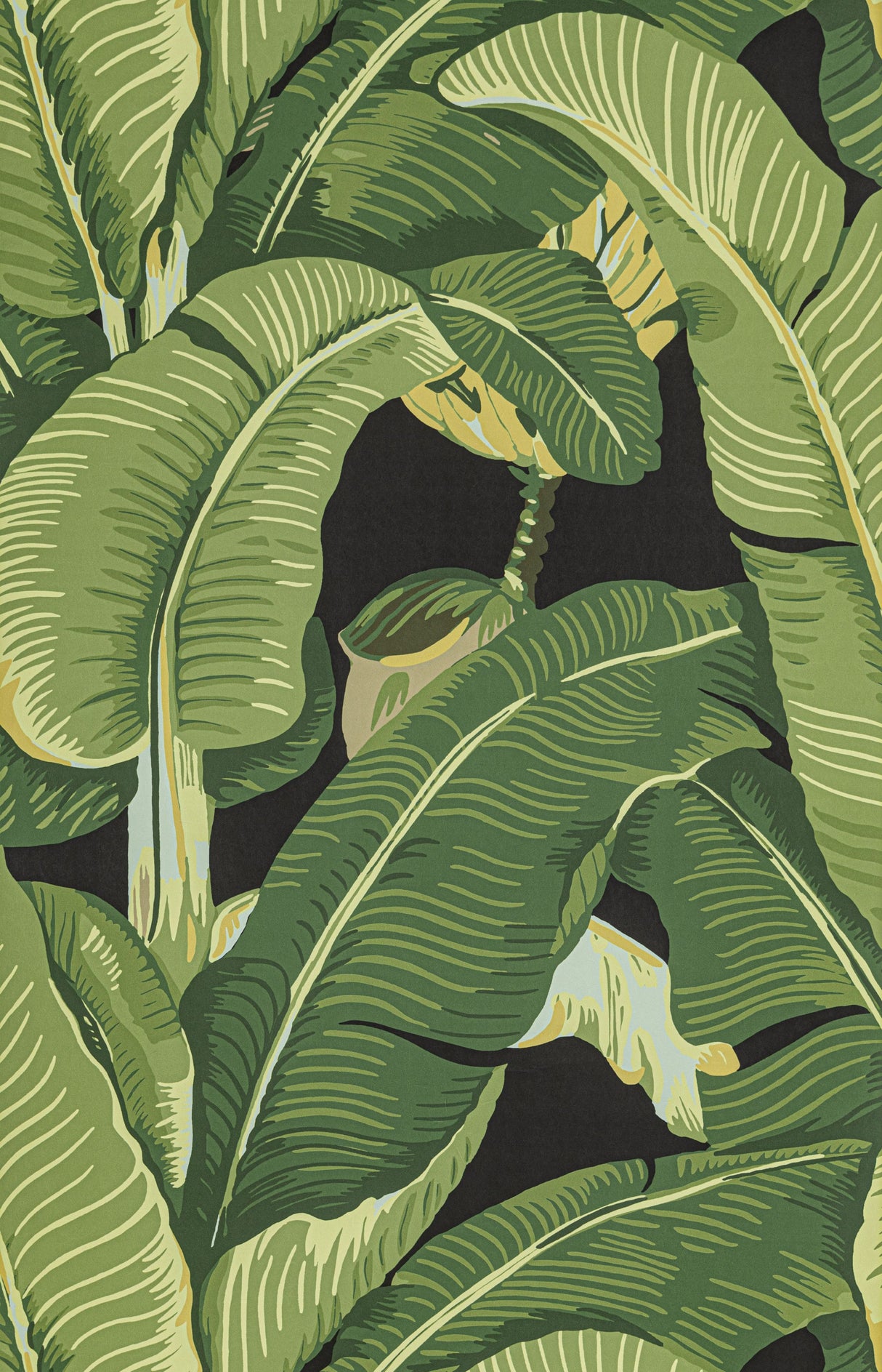 Scalamandre WHN000444000MD ABSINTHE HINSON PALM WALLPAPER - Eade's Wallpaper