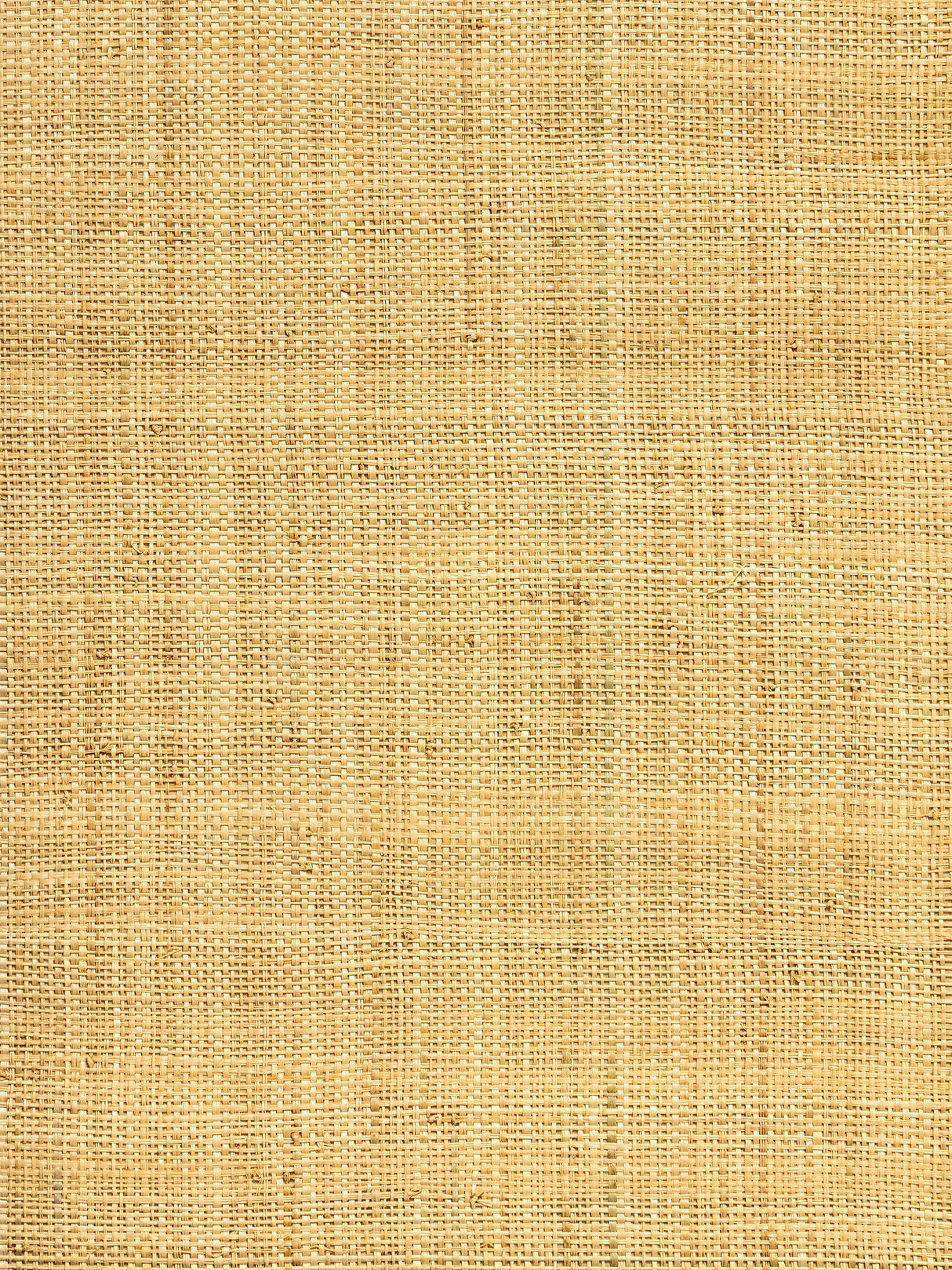 Scalamandre WHN00ABY0391 NATURAL HINSON MADAGASCAR - FINE WALLPAPER - Eade's Wallpaper