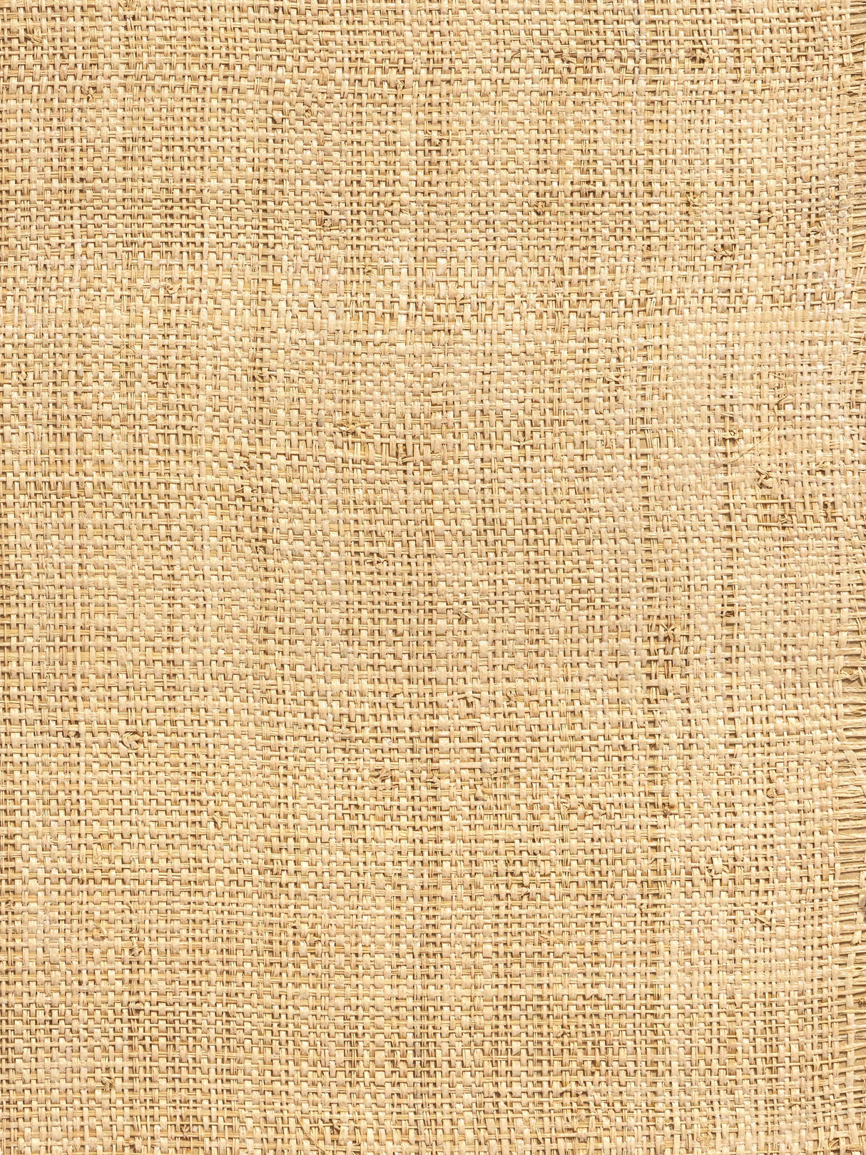 Scalamandre WHN00WBY0390 WHITEWASHED HINSON MADAGASCAR - COARSE WALLPAPER - Eade's Wallpaper