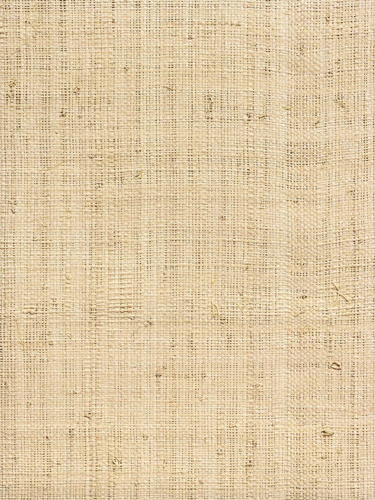 Scalamandre WHN00WBY0391 WHITEWASHED HINSON MADAGASCAR - FINE WALLPAPER - Eade's Wallpaper