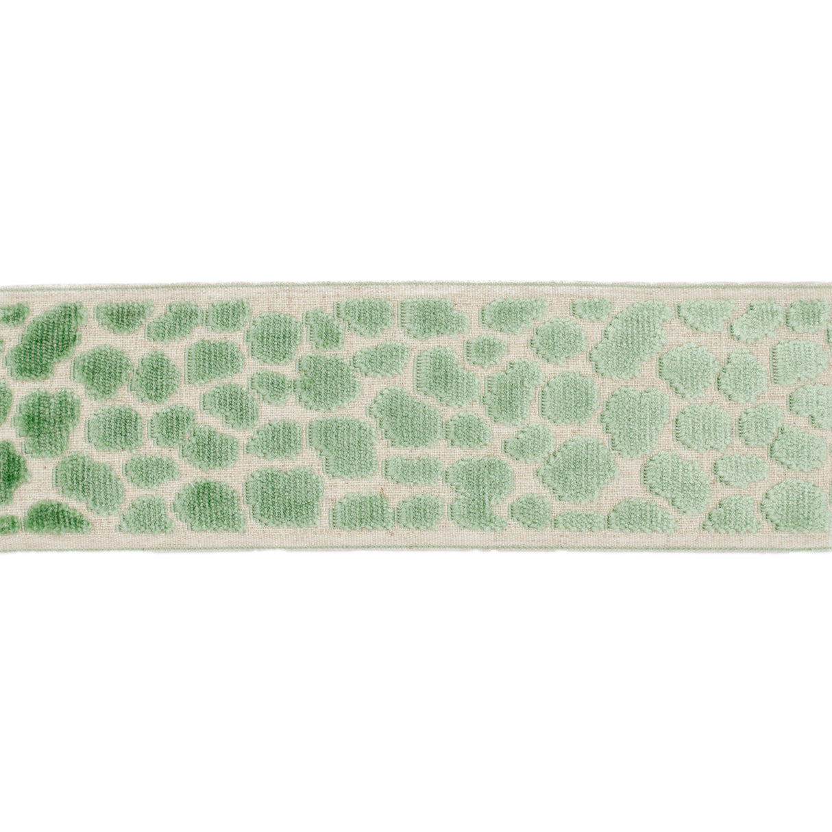 Eade’s WILDER TAPE CARIBBEAN GREEN CARIBBEAN GREEN