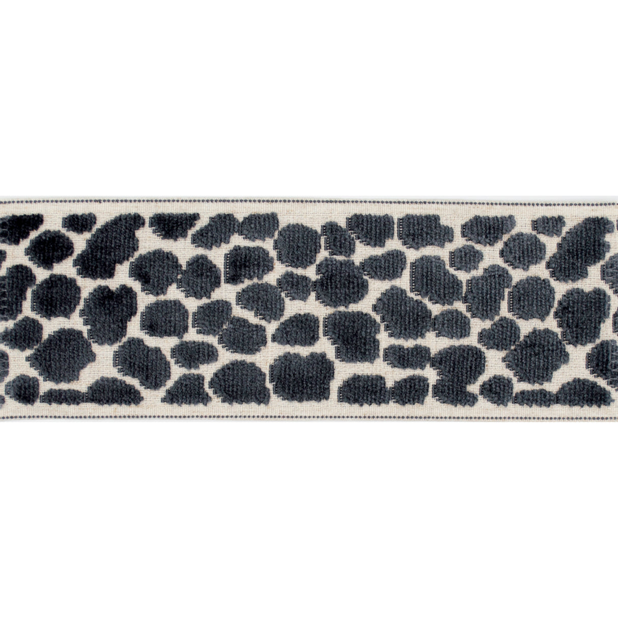 Eade’s WILDER TAPE FOSSIL FOSSIL