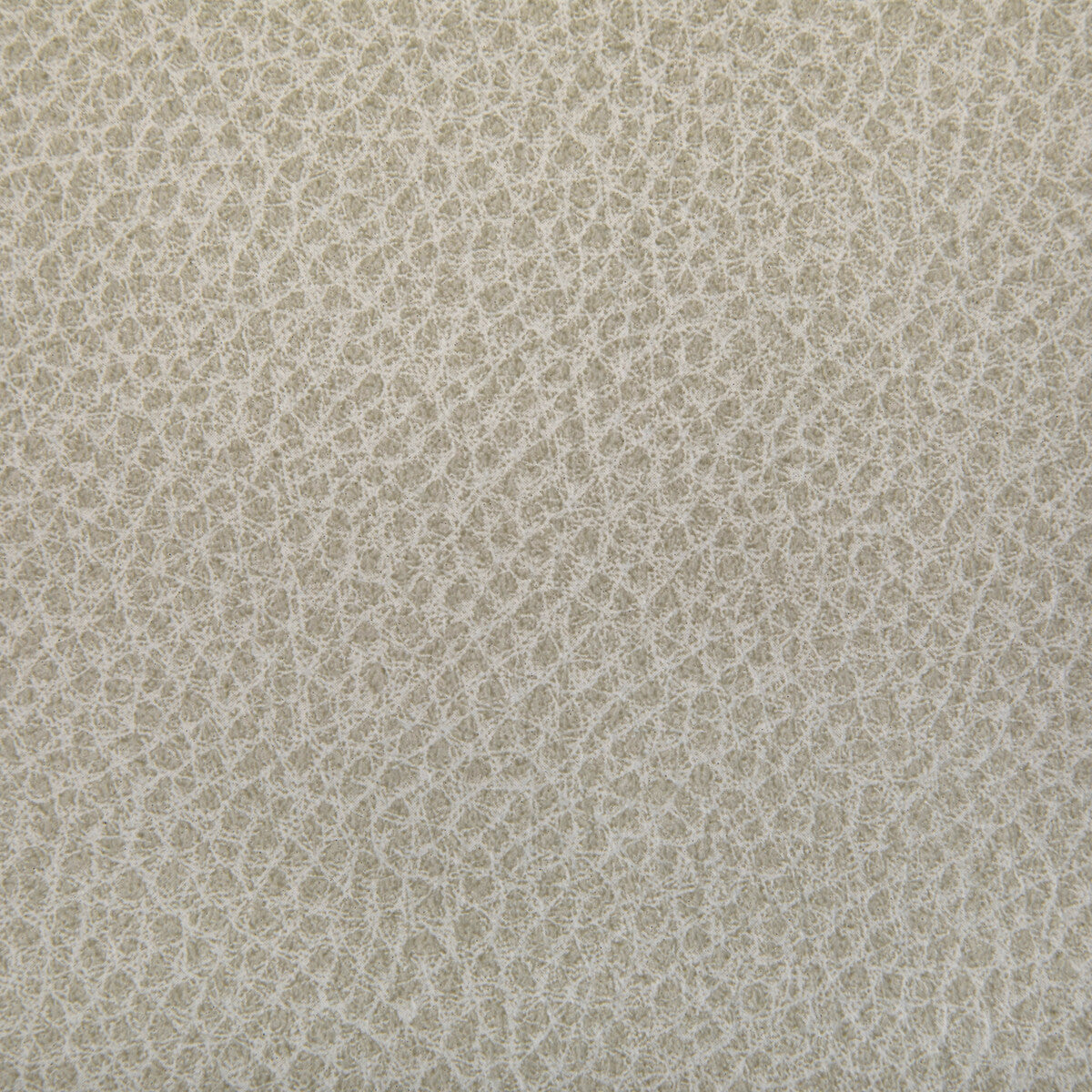 KRAVET CONTRACT WOOLF.1.0 WOOLF LIMESTONE Fabric - Eade's Wallpaper