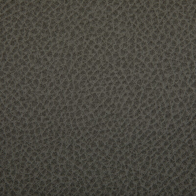 KRAVET CONTRACT WOOLF.1121.0 WOOLF HAWK Fabric - Eade's Wallpaper