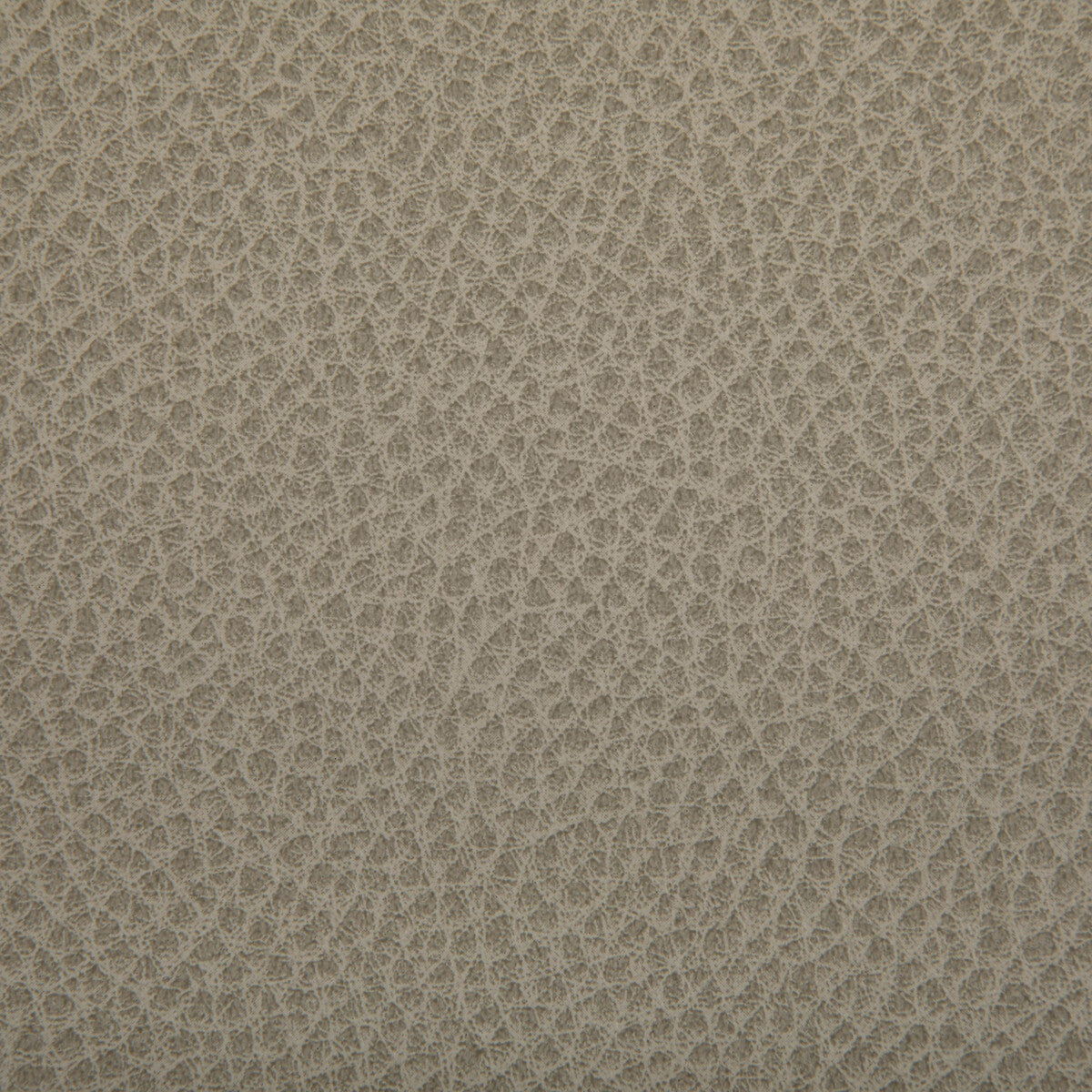 KRAVET CONTRACT WOOLF.121.0 WOOLF SANDBAR Fabric - Eade's Wallpaper