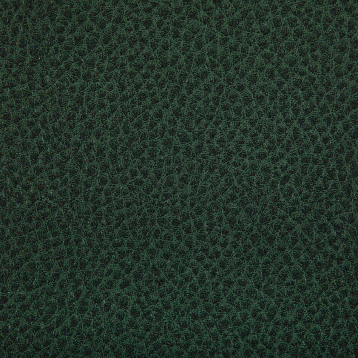 KRAVET CONTRACT WOOLF.53.0 WOOLF WOODLAND Fabric - Eade's Wallpaper
