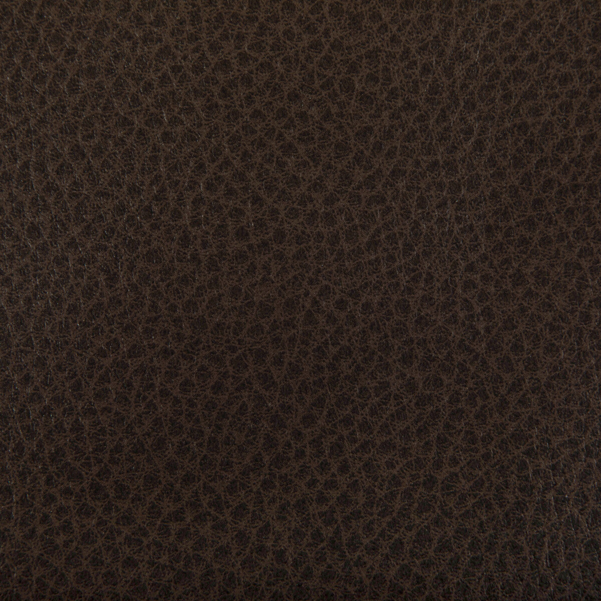 KRAVET CONTRACT WOOLF.66.0 WOOLF COCOA Fabric - Eade's Wallpaper