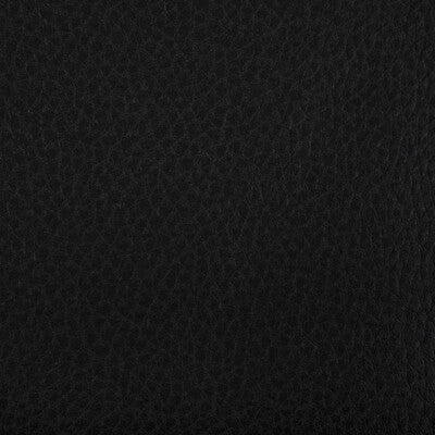KRAVET CONTRACT WOOLF.8.0 WOOLF STALLION Fabric - Eade's Wallpaper