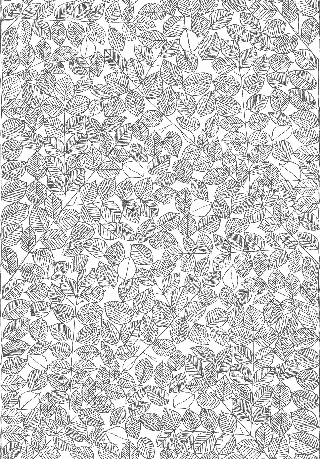 Wall Vision WV1766 Romans Black Leaf Wallpaper