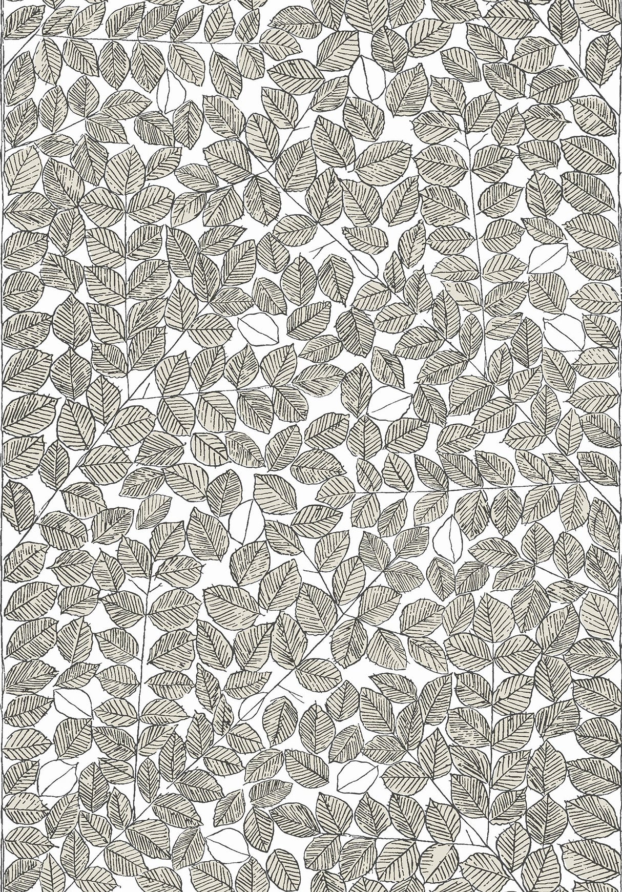 Wall Vision WV1768 Romans Cream Leaf Wallpaper