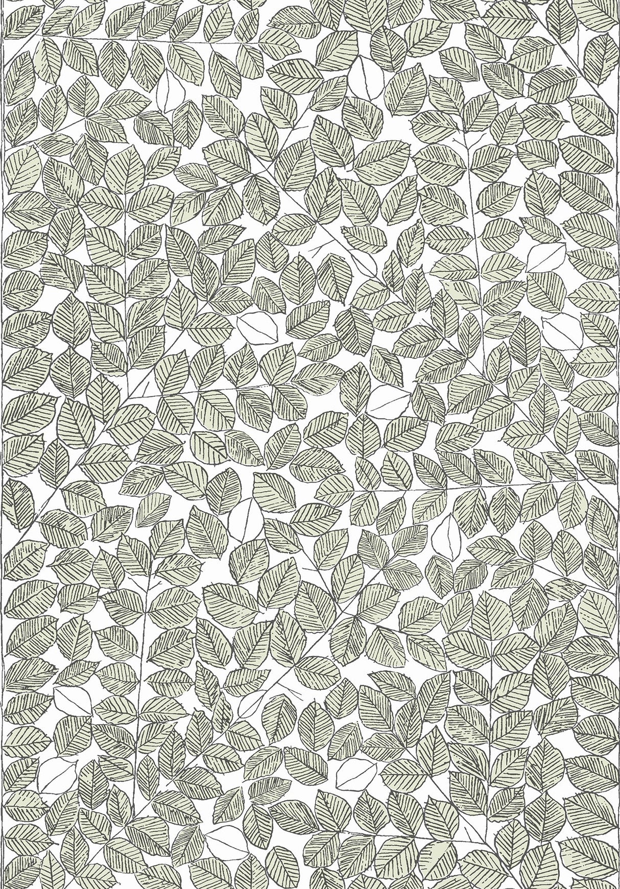 Wall Vision WV1769 Romans Light Green Leaf Wallpaper