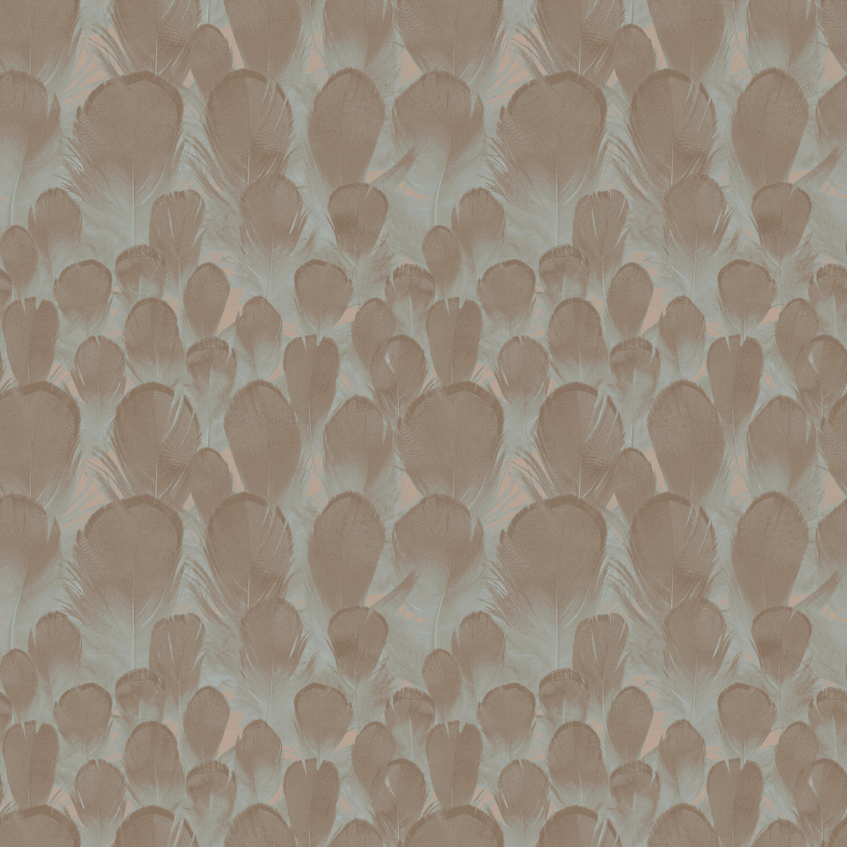 York Y6230104 Feathers Brown & Turquoise Wallpaper