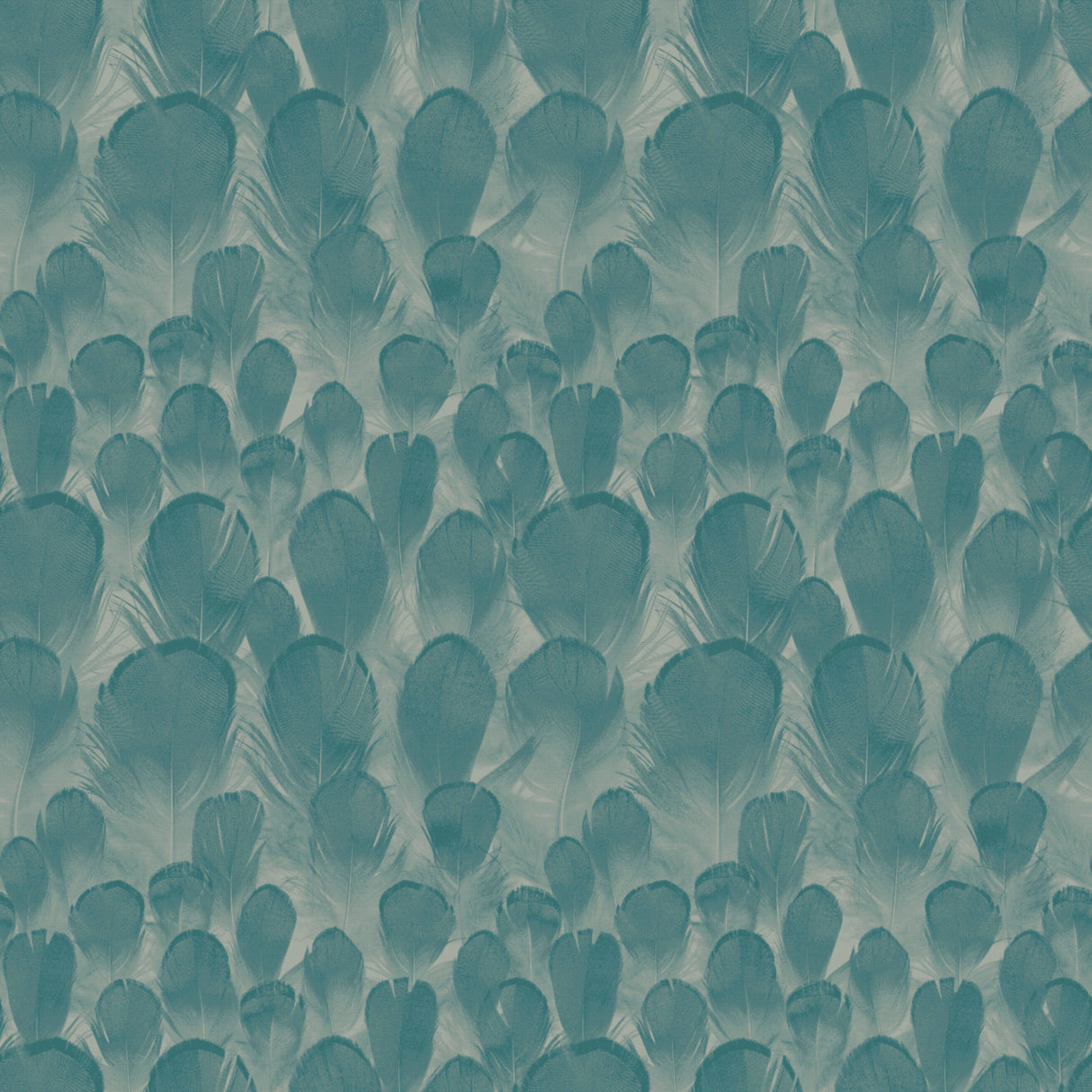 York Y6230105 Feathers Teal & Green Wallpaper