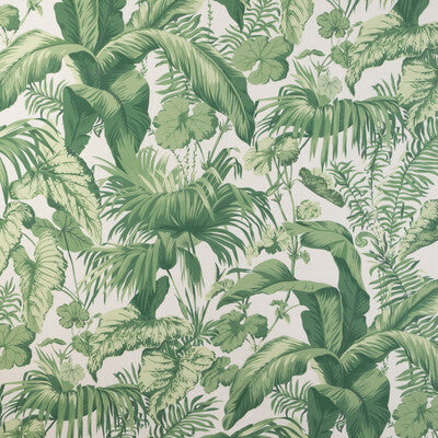 KRAVET COUTURE YASUNI.3.0 YASUNI VERDE Fabric - Eade's Wallpaper