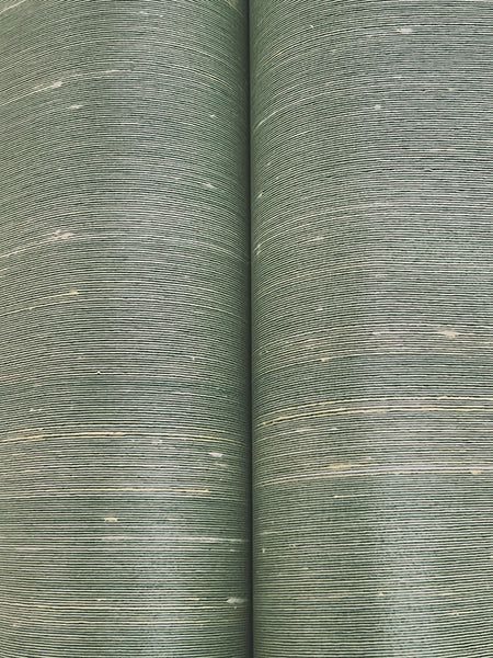 Eade’s Silk Road Verdigris