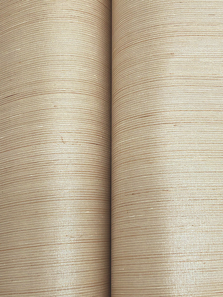 Eade’s Smooth Abaca Milkweed