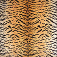 Scalamandre YS 00010691 BROWN ON GOLD TIGER - SILK Fabric - Eade's Wallpaper
