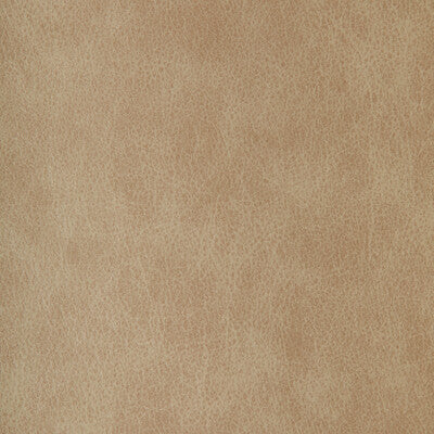 KRAVET DESIGN ZENON.11.0 KRAVET DESIGN ZENON-11 Fabric - FAUX LEATHER IV