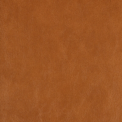 KRAVET DESIGN ZENON.6.0 KRAVET DESIGN ZENON-6 Fabric - FAUX LEATHER IV