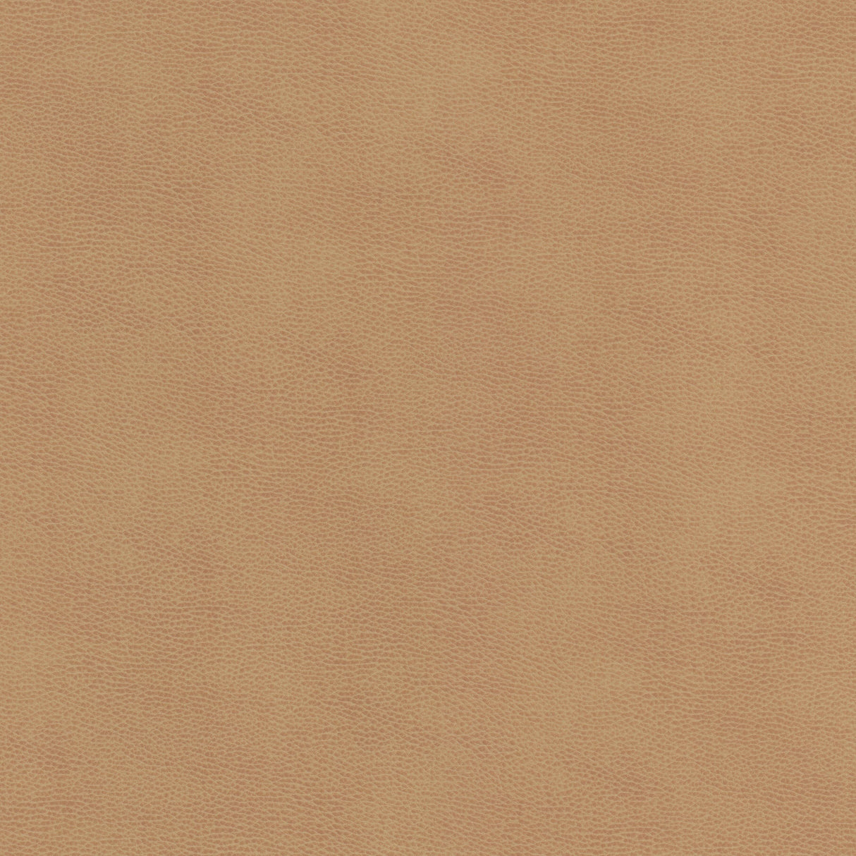 Eade's ZIEM-1-sample LION