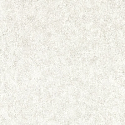 CLARKE AND CLARKE ZW0208/01.CAC.0 MARMOR ASH WP Fabric - CLARKE & CLARKE EXPRESSIONS PERFORMANCE WALLCOVERING
